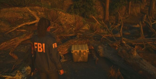 Расположение культовых тайников в Alan Wake 2 и как их исправить ndrvgbspodru7uyubgnw3h 1200 80