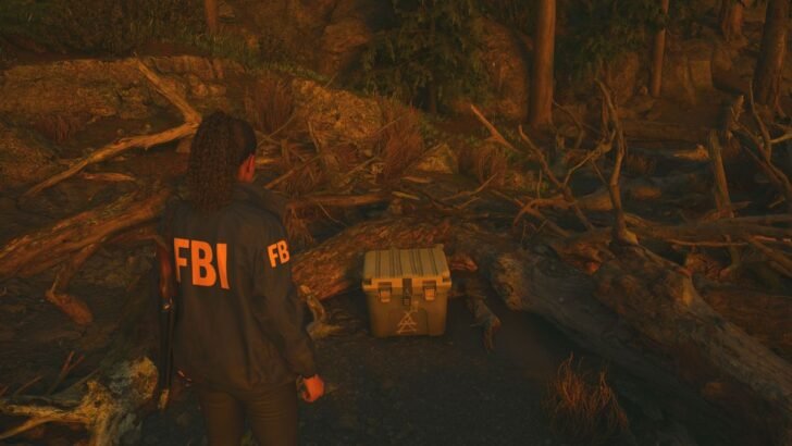Расположение культовых тайников в Alan Wake 2 и как их исправить ndrvgbspodru7uyubgnw3h 1200 80