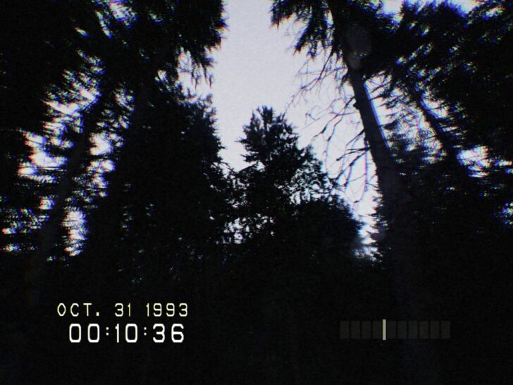 Если вы закричите во время игры в Don't Scream, вам придется перезапустить игру. ifx6xtaxug8hznue8ngqwt 1200 80