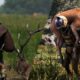 DayZ и Icarus объединяются с дерзким пакетом выживания в Steam «The Day After». skfx5tjrt4a3xkgj54oxmm 1200 80