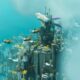 Игра Bulwark с открытым миром в жанре градостроительства и исследования: Falconeer Chronicles демонстрирует 30 минут нового геймплея g2ublfzbpnp5fffhvb5vma 1200 80